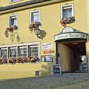 Hotel Grüner Baum